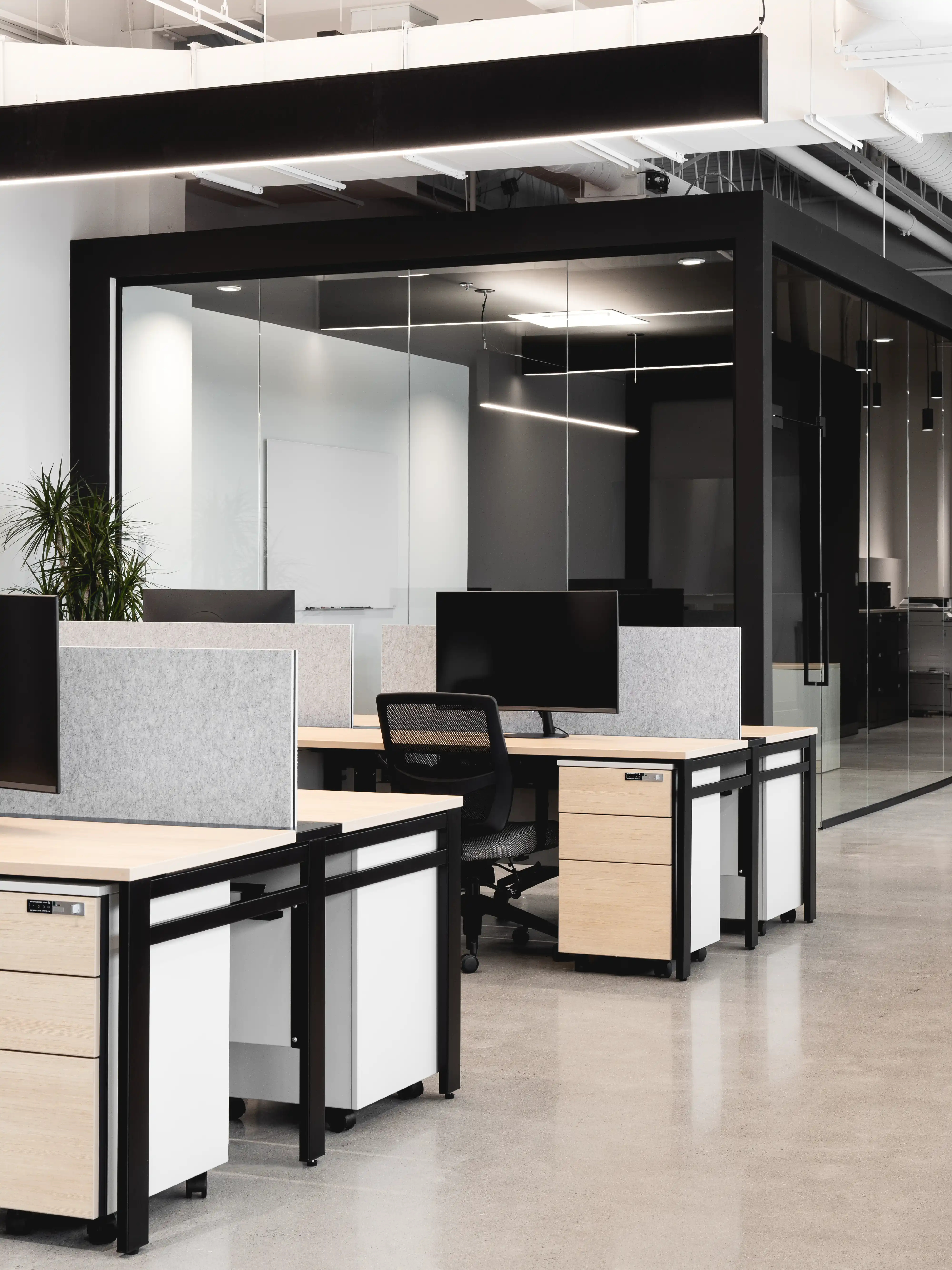 Un espace de bureau moderne avec un plan ouvert et des rangées de bureaux et de chaises, intérieur signé Sarah Brown Design