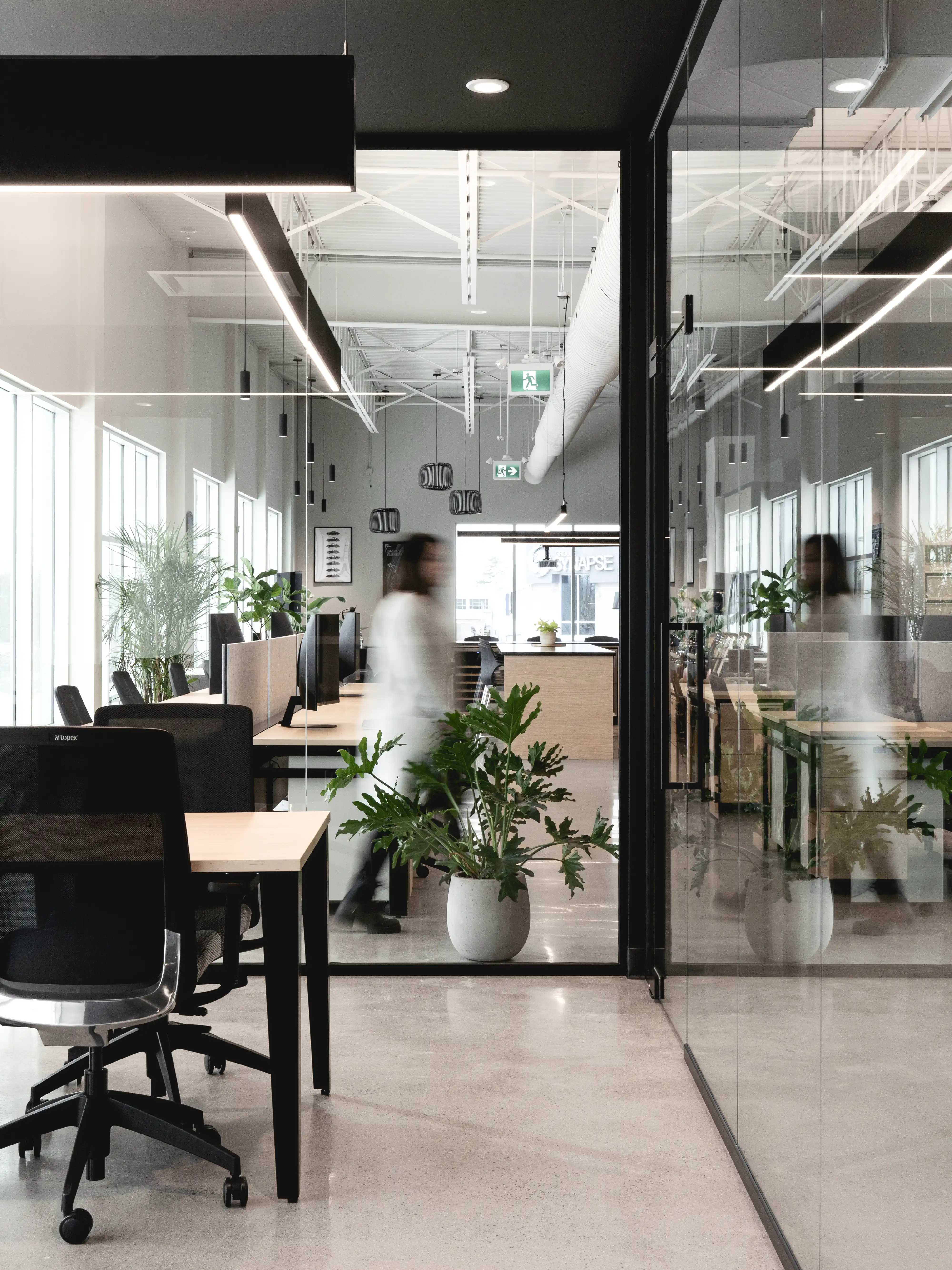 Un espace de bureau moderne avec un schéma de couleurs noir et blanc, de grandes fenêtres, des postes de travail, des plantes et un mur de verre, intérieur signé Sarah Brown Design
